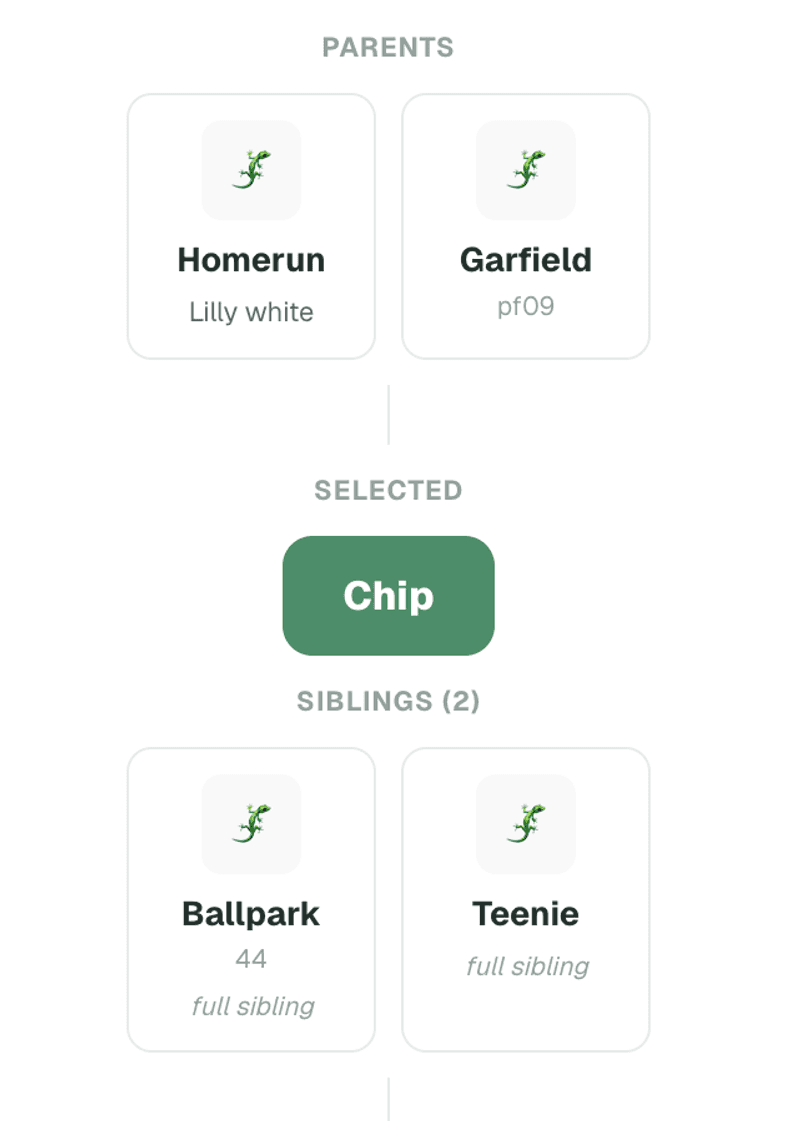 The Family Tree page in My Reptile Atlas, showing a gecko named Chip with its two parents above it and two full siblings below.